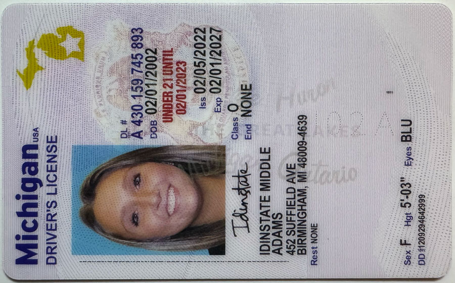 Michigan U21 Fake Driver License
