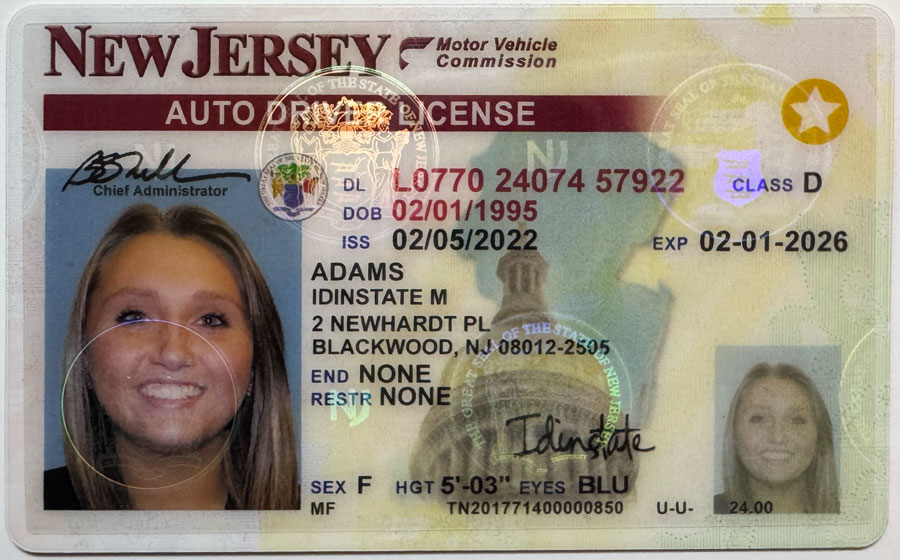 New Jersey Fake Driver License