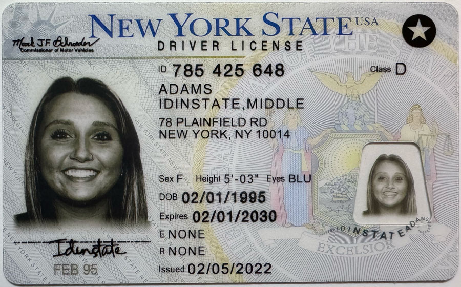 New York Fake Driver License