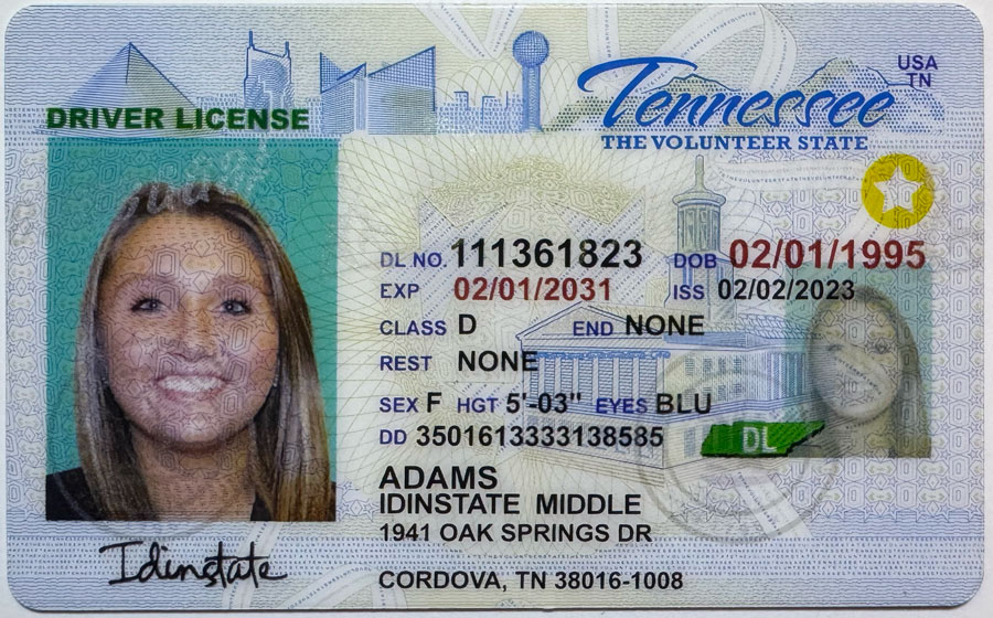New Tennessee Fake Driver license