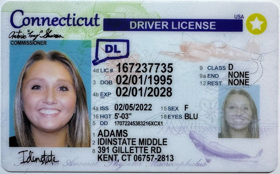 New Connecticut Fake Driver license