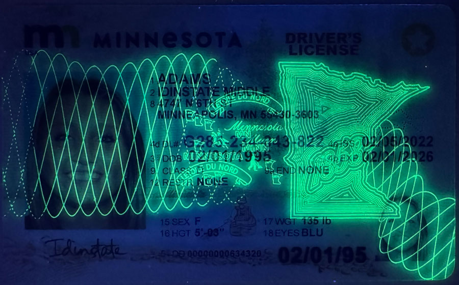 IDINSTATE New Monnesota